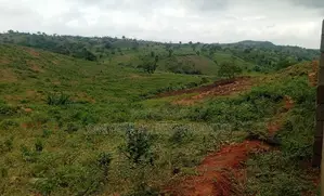 1000sqm Residential Land with R of O in Maitama