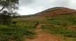 1000sqm Residential Land with R of O in Maitama - 2