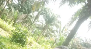 20 Plots of Land for Sale at Owaza, Abia State