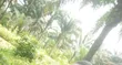 20 Plots of Land for Sale at Owaza, Abia State - 1
