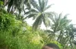 20 Plots of Land for Sale at Owaza, Abia State - 2