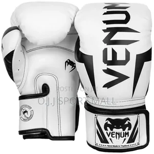 Venum Boxing Gloves (14oz)