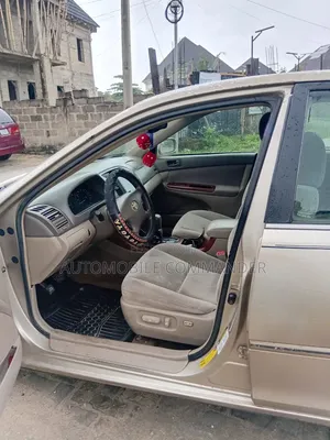 Toyota Camry 2004 Zinariya