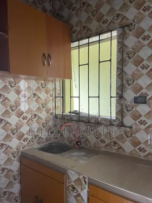 Studio Apartment for Rent in Oluwo, Abule Egba