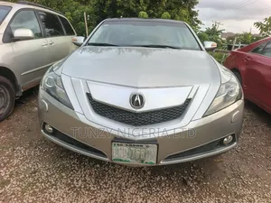 Acura ZDX Base AWD 2010 Silver
