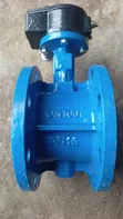 4" PN 16 Butterfly Valve with Flange - 1