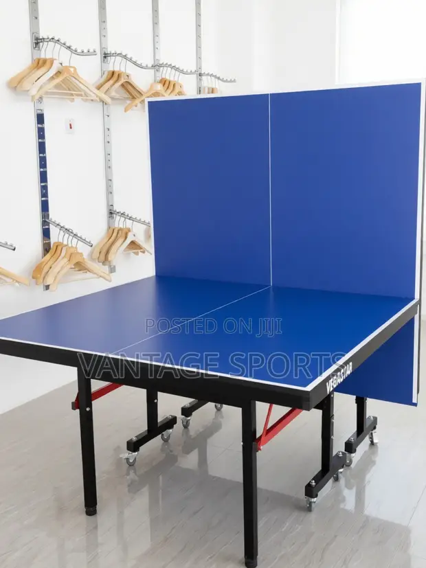 Outdoor Table Tennis Table + Net & Accessories - 1