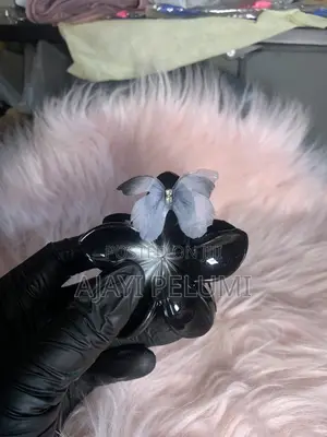 Zelda Wong Aesthetic Hair Clips - Brand New