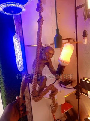 d.light LED Monkey Light with Daylight Sensor