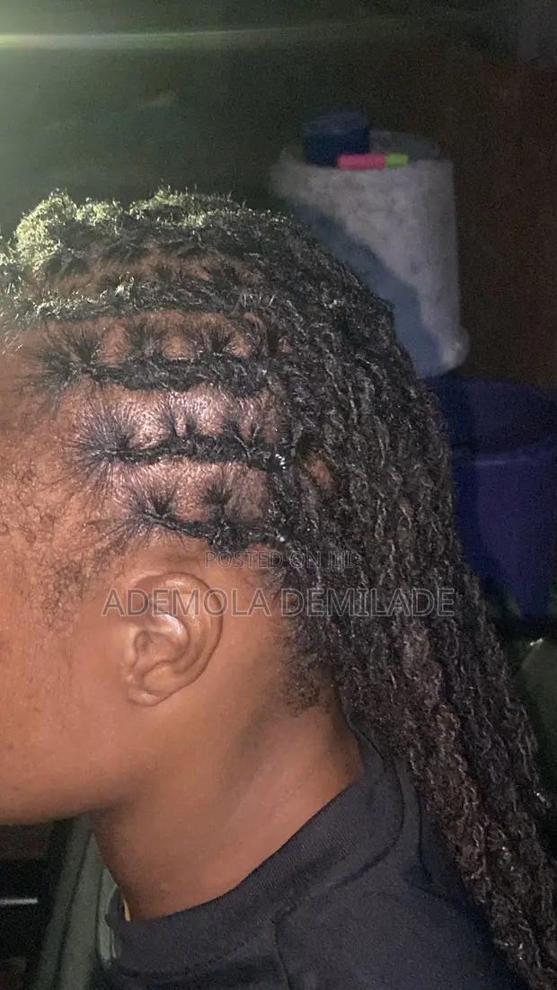 Braids and Locks by Demmyhair - 1