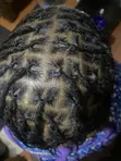 Braids and Locks by Demmyhair - 2