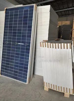 730W Jinko Solar Panel - Brand New