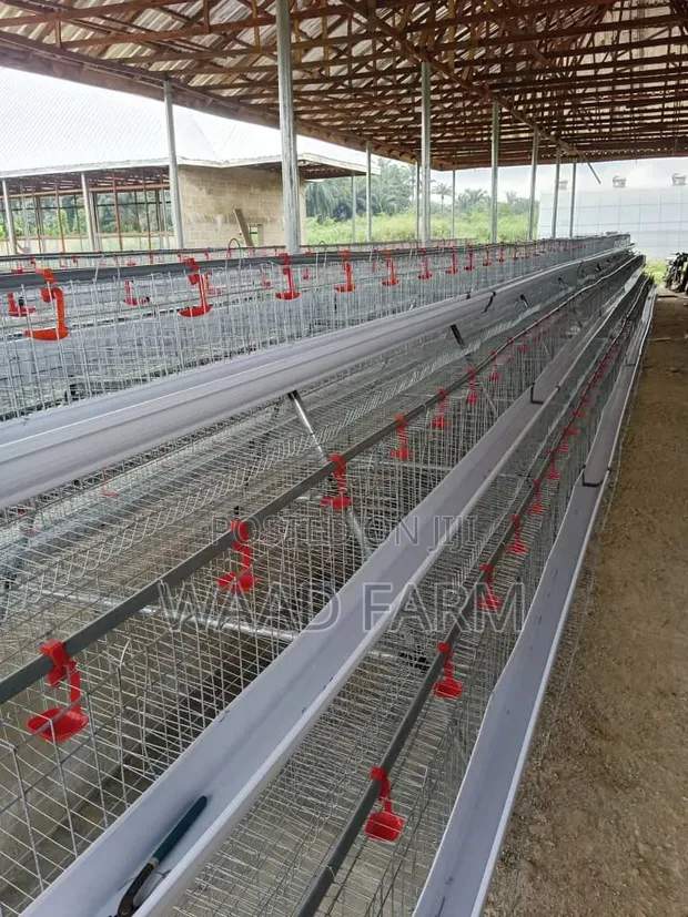 Waad Farm Battery Cages - 1