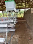 Waad Farm Battery Cages - 3