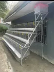 Waad Farm Battery Cages - 4
