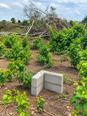 Filin Iyanu Estate Don Siyarwa - Igbodu Isiwo, Epe