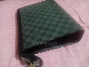 Louis Vuitton (LV) Purse