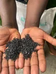 Granules masu inganci 50kg don Artificial Grass & Filayen Kwallon Kafa - 4