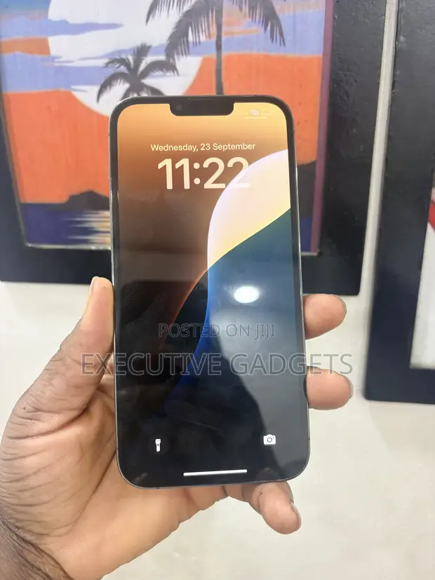 Apple iPhone 13 Pro Max 256GB Graphite - 1