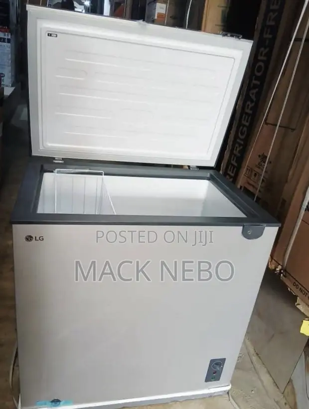 LG 225L Freezer Mai Sanyi (Frost-Free) - Launin Azurfa - 1