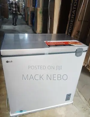 LG 225L Freezer Mai Sanyi (Frost-Free) - Launin Azurfa