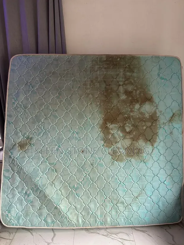 Professional Mattress Cleaning Services - 1