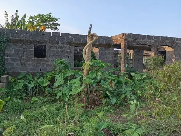 Filin Daji da Gida Mara Kammalawa na Bedroom 4 a Ikorodu - 1