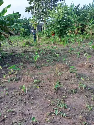 Filin Daji da Gida Mara Kammalawa na Bedroom 4 a Ikorodu