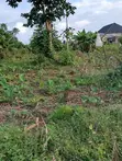 Filin Daji da Gida Mara Kammalawa na Bedroom 4 a Ikorodu - 4