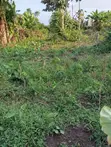 Filin Daji da Gida Mara Kammalawa na Bedroom 4 a Ikorodu - 5