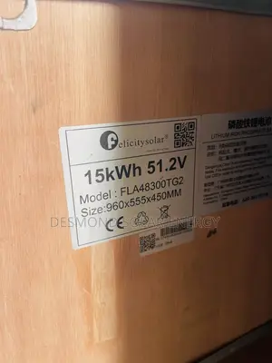 Felicitysolar 15kWh 51.2V Baturin Lithium Ion