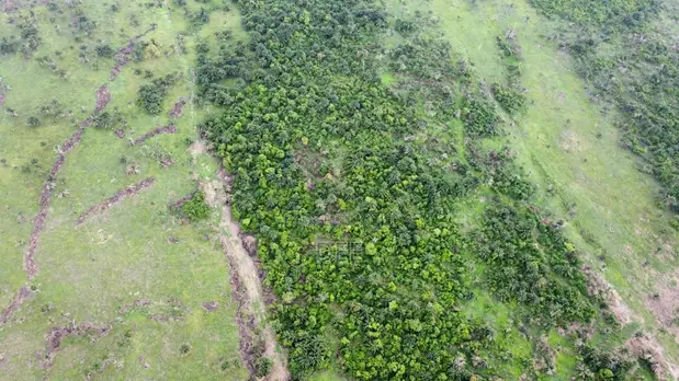 Acres of Dry Land for Sale Behind NASFAT, Obafemi-Owode - 1