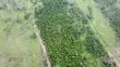 Acres of Dry Land for Sale Behind NASFAT, Obafemi-Owode - 1