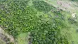 Acres of Dry Land for Sale Behind NASFAT, Obafemi-Owode - 2