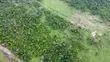 Acres of Dry Land for Sale Behind NASFAT, Obafemi-Owode - 3