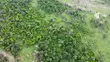 Acres of Dry Land for Sale Behind NASFAT, Obafemi-Owode - 5