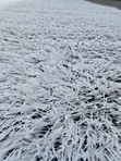 50mm White Artificial Grass - Premium Double Backing - 5