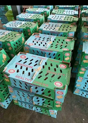 Agrited, Chi, Zartech Broilers - Healthy Birds
