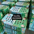 Agrited, Chi, Zartech Broilers - Tsuntsaye masu Lafiya - 2