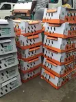 Agrited, Chi, Zartech Broilers - Tsuntsaye masu Lafiya - 5
