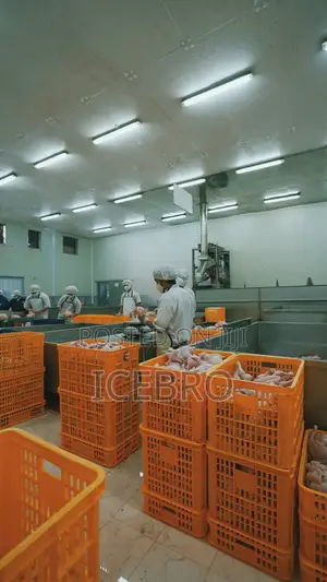 Refrigeration Equipment & Cold Room Solutions | Nigeria