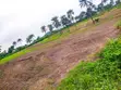 Filin Kasuwanci don Warehouses/Logistics na Rेंट - Hanyar Ibadan-Ijebu Ode - 2