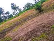 Filin Kasuwanci don Warehouses/Logistics na Rेंट - Hanyar Ibadan-Ijebu Ode - 3