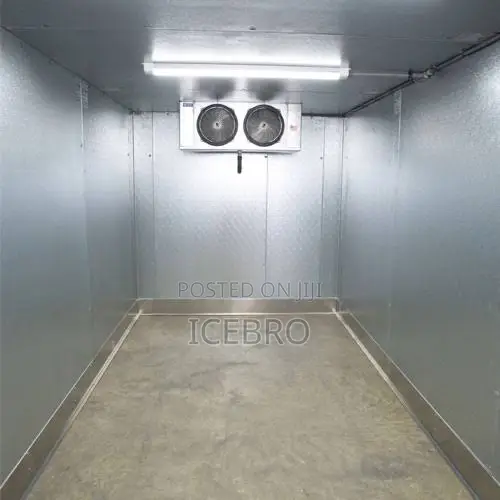 IceBro Commercial & Walk-in Freezers | Nigeria - 1