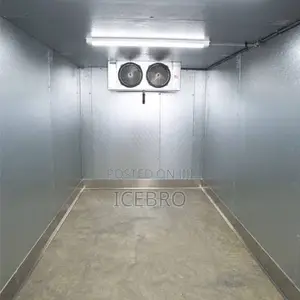 IceBro Commercial & Walk-in Freezers | Nigeria