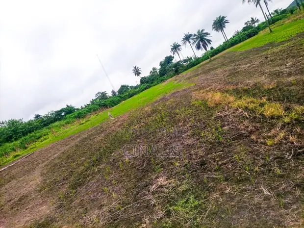 Affordable Commercial Land for Rent - Ibadan-Ijebu Ode Road - 1