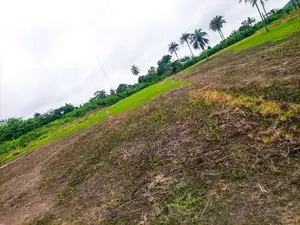 Filin Kasuwanci Mai Araha don Hayarwa - Hanyar Ibadan-Ijebu Ode