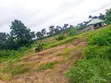 Affordable Commercial Land for Rent - Ibadan-Ijebu Ode Road - 2