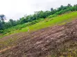 Affordable Commercial Land for Rent - Ibadan-Ijebu Ode Road - 3