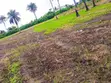 Affordable Commercial Land for Rent - Ibadan-Ijebu Ode Road - 5